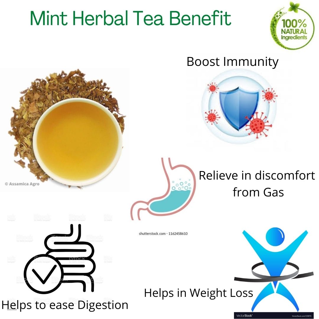 Mint Herbal Tea